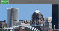 Desktop Screenshot of netsville.com